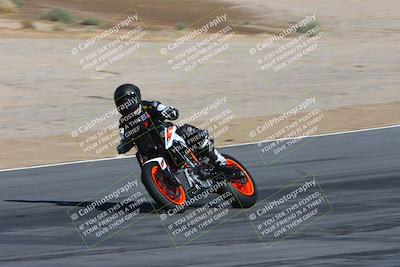 media/Feb-04-2024-SoCal Trackdays (Sun) [[91d6515b1d]]/4-Bowl Backside (11am)/